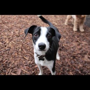 Meet your Posher, Candace